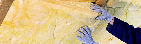 quotes for Nelson roof insulation